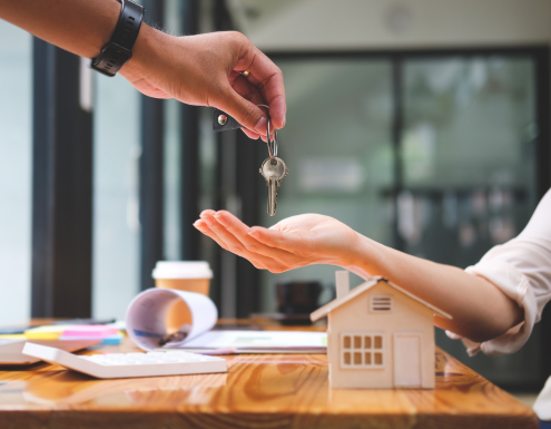 propietario casa